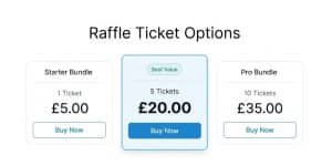 Clean raffle website pricing design showing clear ticket options and visual hierarchy