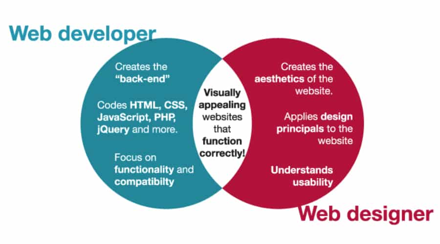 web designer vs web developer