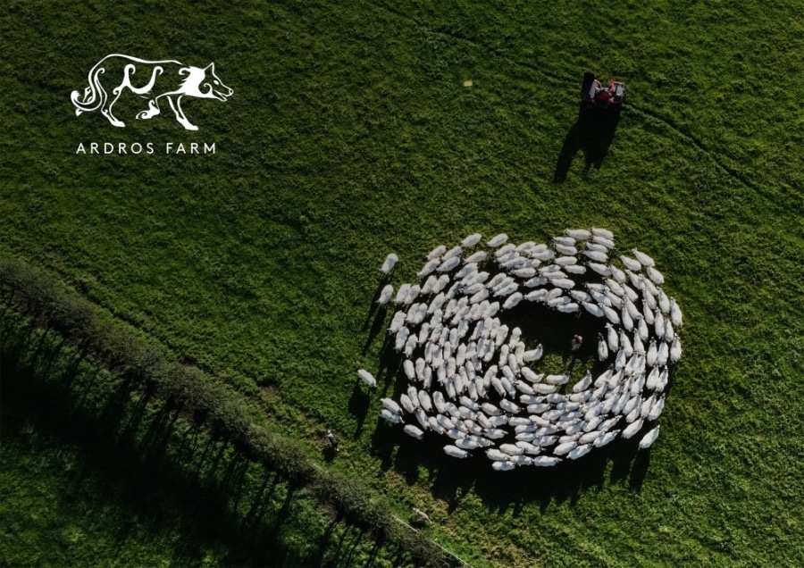 project-ardros-farm-brand-imagery