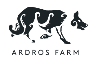 sheepdog logo design for Emma Gray Shepherdess