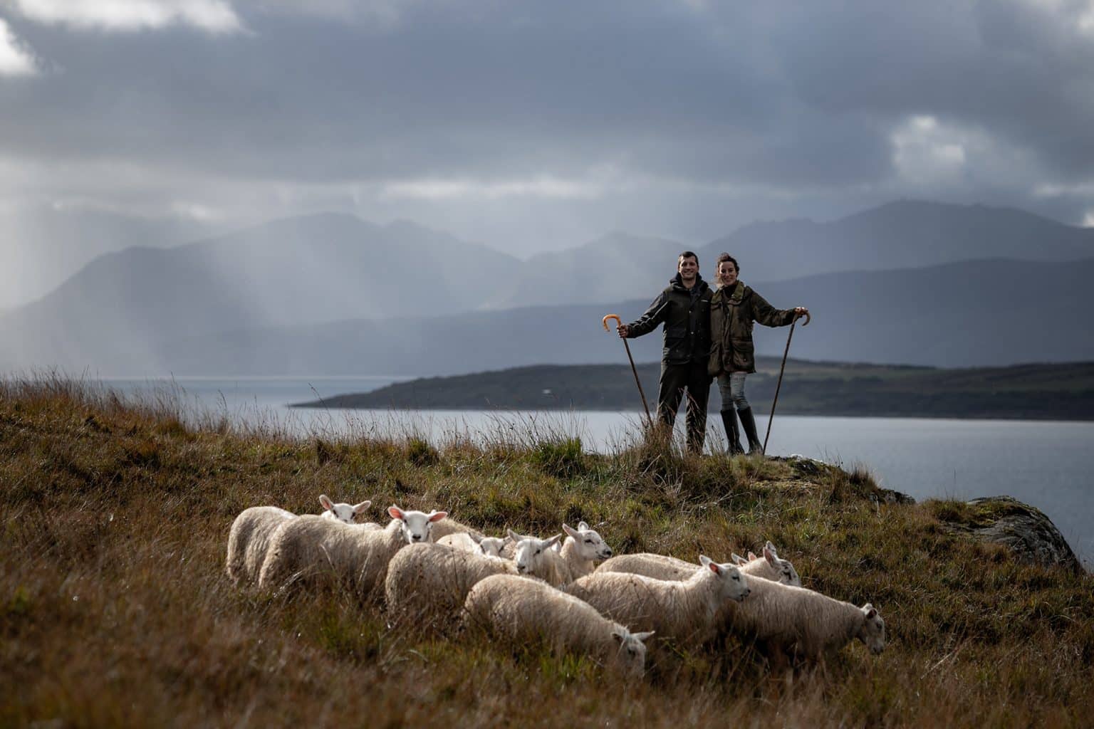 branding for Emma Gray Shepherdess