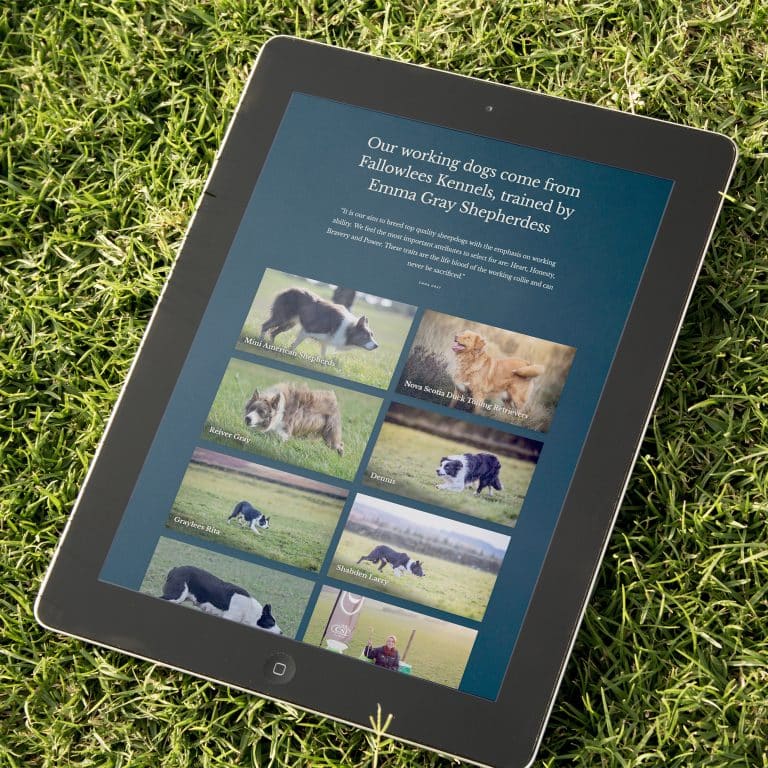 website design for Emma Gray Shepherdess