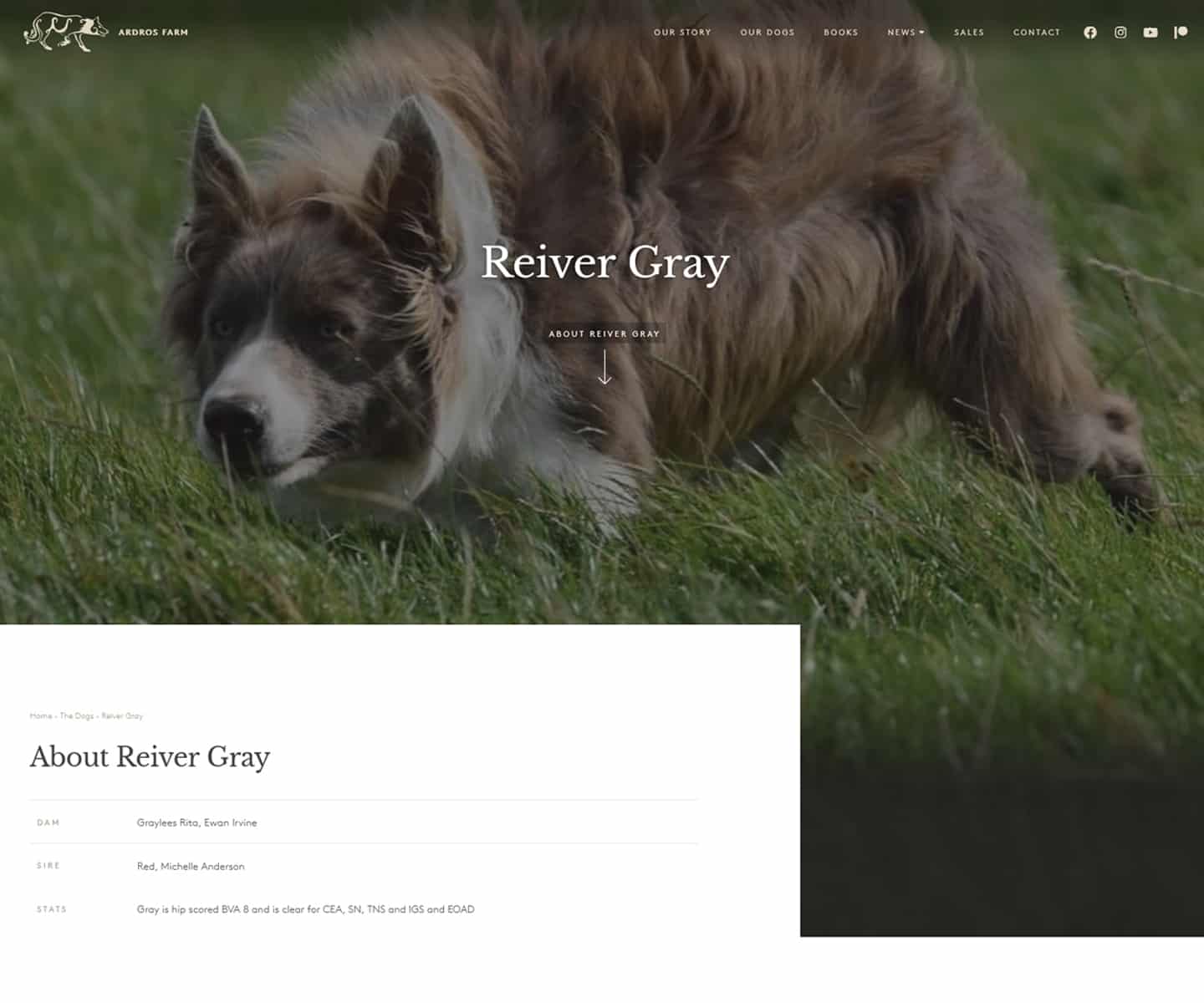 web developers for Emma gray Shepherdess