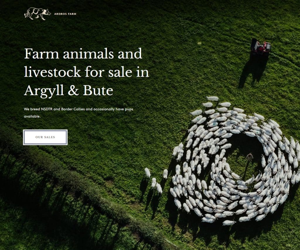 website designers in Argyll & Bute