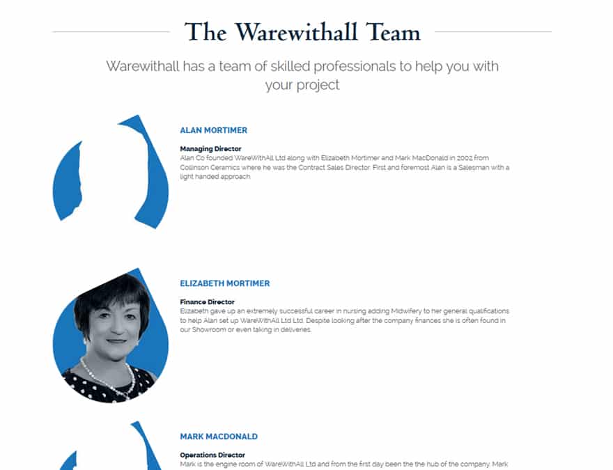 team profiles design for brochure website